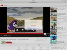 Video Downloader Pro - Download and Watch Free Videos on iPad Happy Downloading Everyone