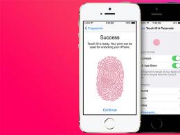 What is Touch ID in Apple devices - iPhone, iPad
