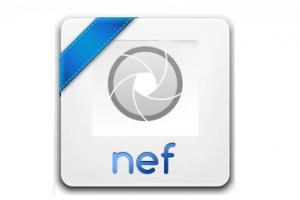What is the NEF file extension?