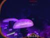 Home • Games • Subnautica – underwater exploration Subnautica – underwater exploration